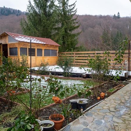 Casa Nicolas Busteni Luaran gambar