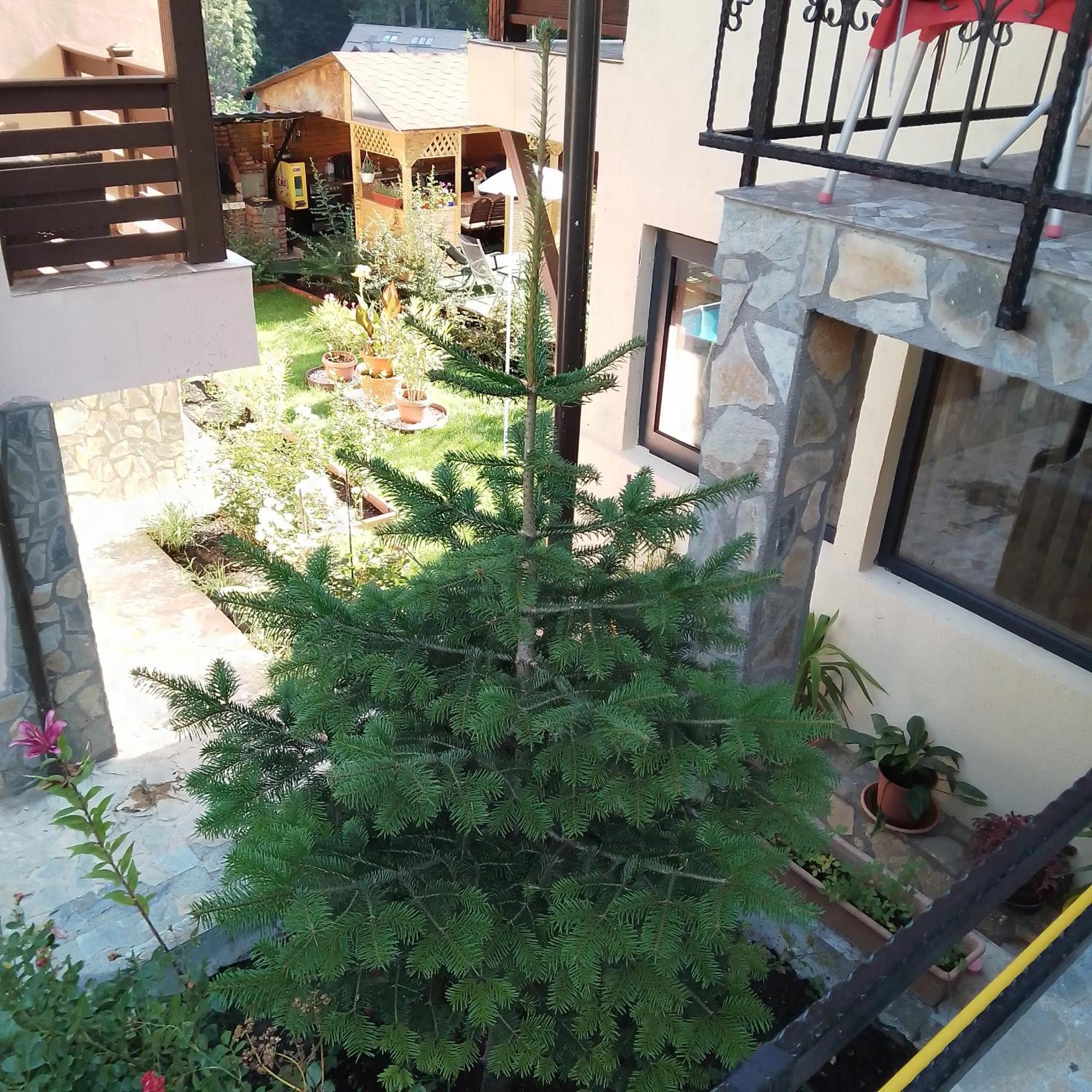 Casa Nicolas Busteni Luaran gambar