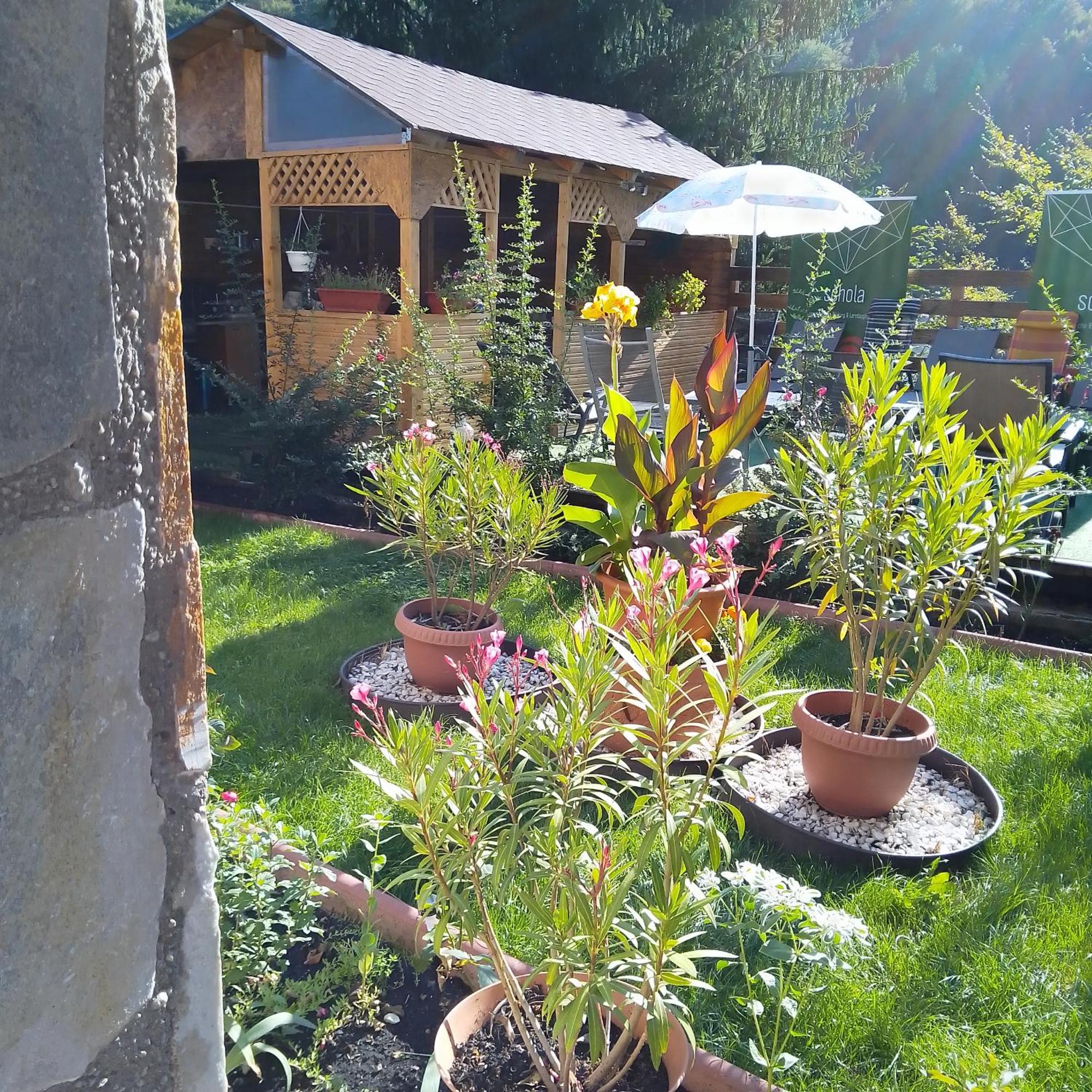 Casa Nicolas Busteni Luaran gambar